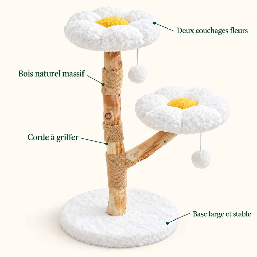 Arbre à chat Marguerite en bois naturel
