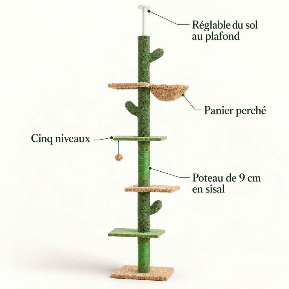 Arbre à chat Cactus sol-plafond