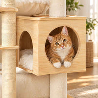 Arbre à chat Séquoia sol-plafond