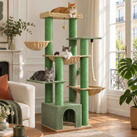 Arbre à chat Baobab 170 cm