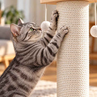 Griffoir pour chat Colonne