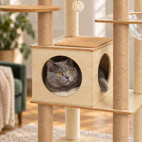 Arbre à chat Hublot 180 cm