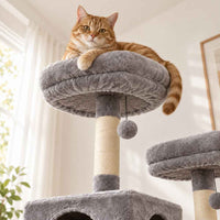 Arbre à chat Belvédère 184 cm