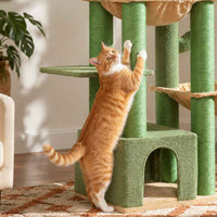 Arbre à chat Baobab 170 cm
