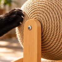 Griffoir pour chat Passerelle